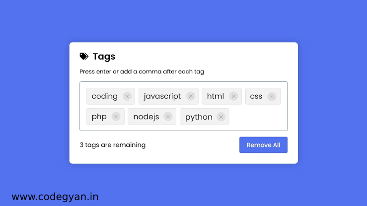 How to create Multi Tags Input Box in HTML CSS & JavaScript